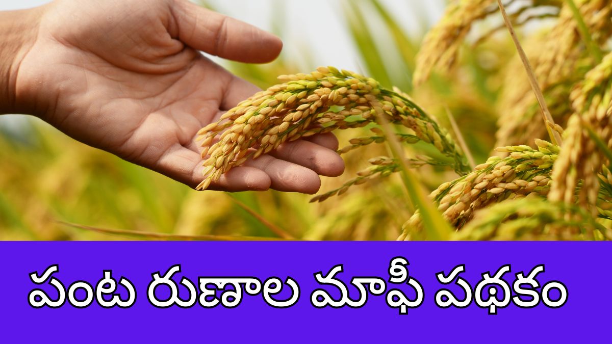 Telangana Crop Loan Waiver Scheme 2024